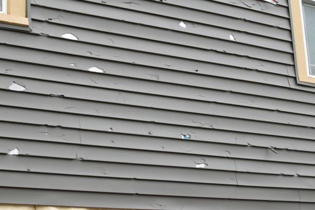 Best Insulated Siding Installation  in Sun Prairie, WI