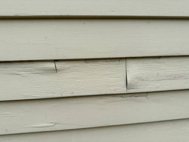 Best Siding for New Construction  in Sun Prairie, WI